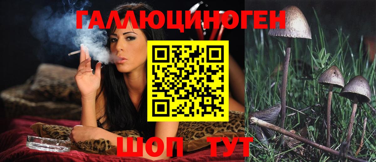 Галлюциногенные грибы мухоморы Соликамск